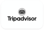 trip advisor